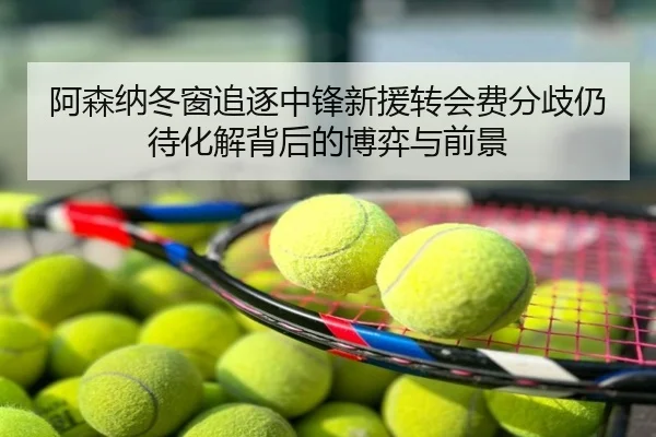 阿森纳冬窗追逐中锋新援转会费分歧仍待化解背后的博弈与前景